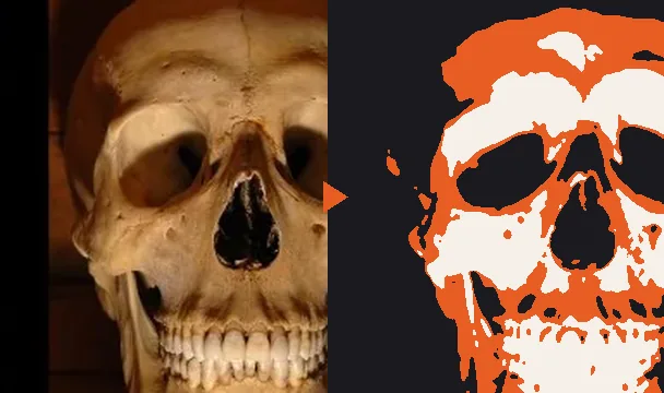A skull photo next to the 3-layer stencil the Stencil Creator makes from it