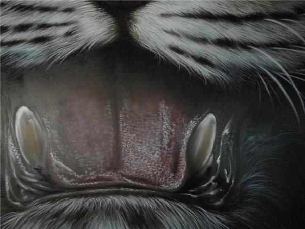 Airbrushed Tiger